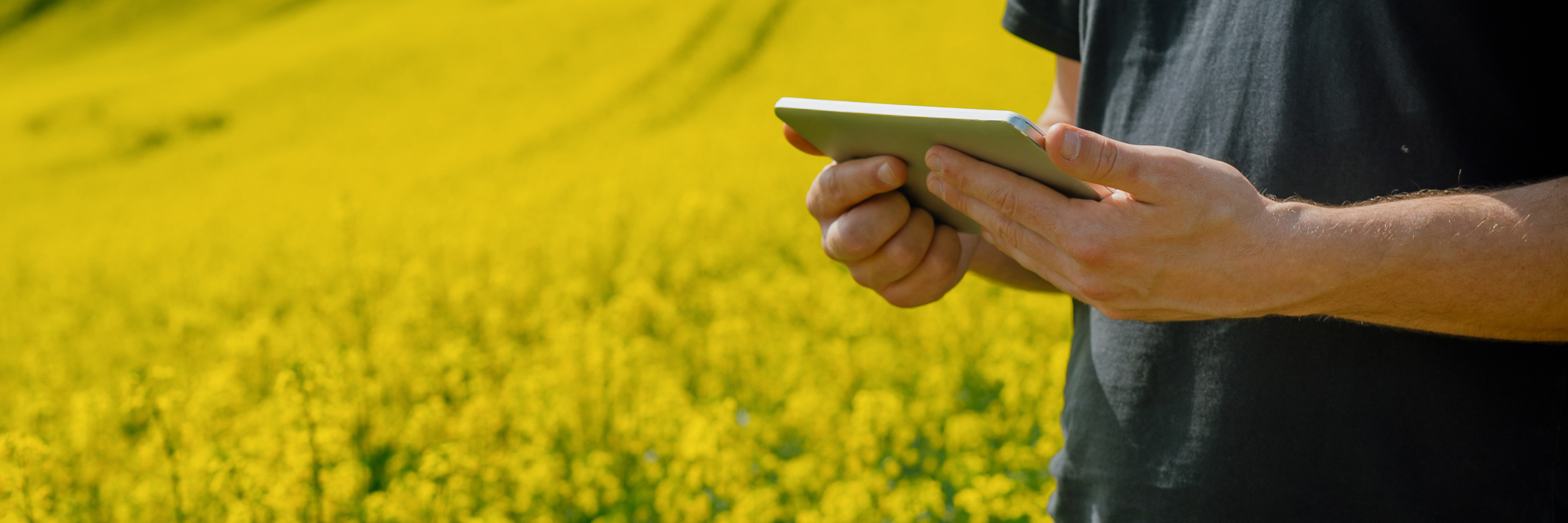 L'intelligence artificielle au service de la commercialisation agricole