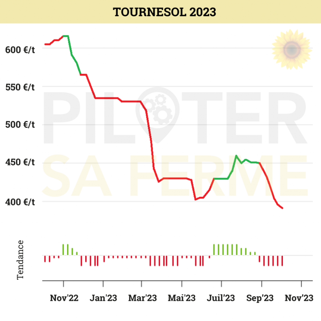 Récolte de tournesol : baisse des prix depuis 2022