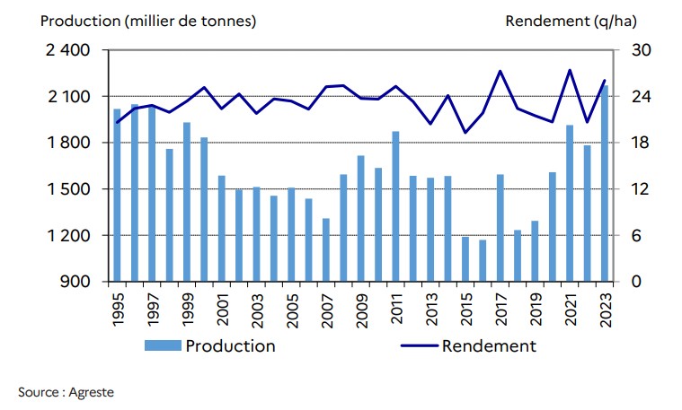 Récolte de tournesol 2023 : un bon millésime pour l'Agreste